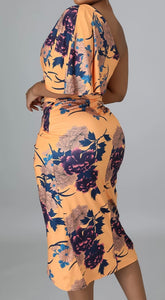 “Amala” Dress